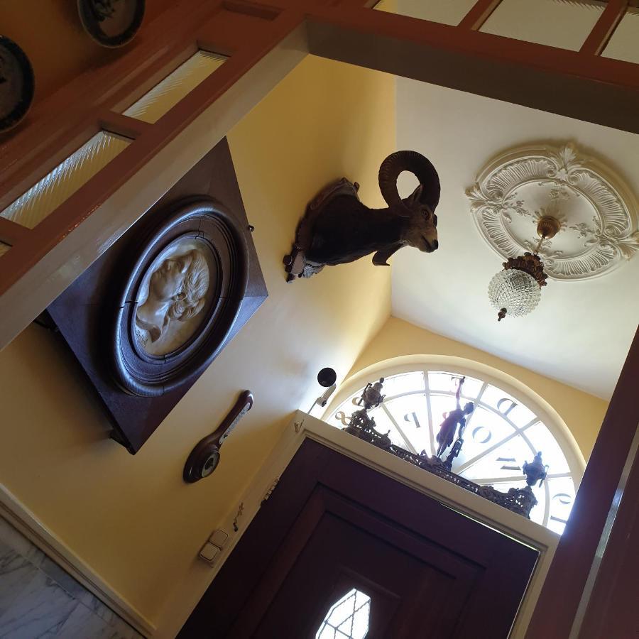 Deventer Heritage En Boutique B&B Museumhuis Huize "De Worp" エクステリア 写真